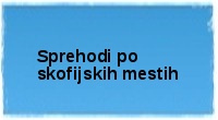 Sprehodi po skofijskih mestih
